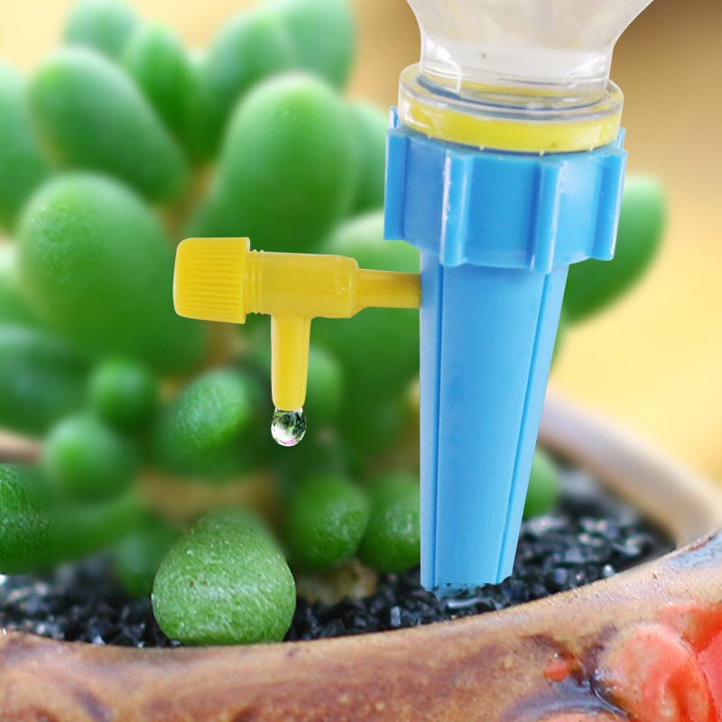 10/1Pcs Self-Watering Kits Aut - Plant Parent Kit ulasan dan harga