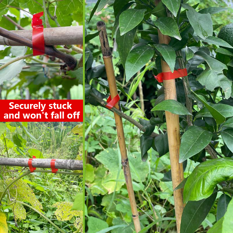 Garden Plants Branch Hand Tyin - Plant Parent Kit ulasan dan harga