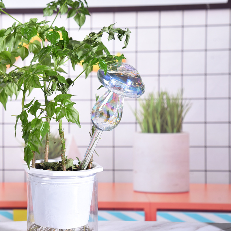 1/2PCS Glass Straw Automatic P - Plant Parent Kit ulasan dan harga