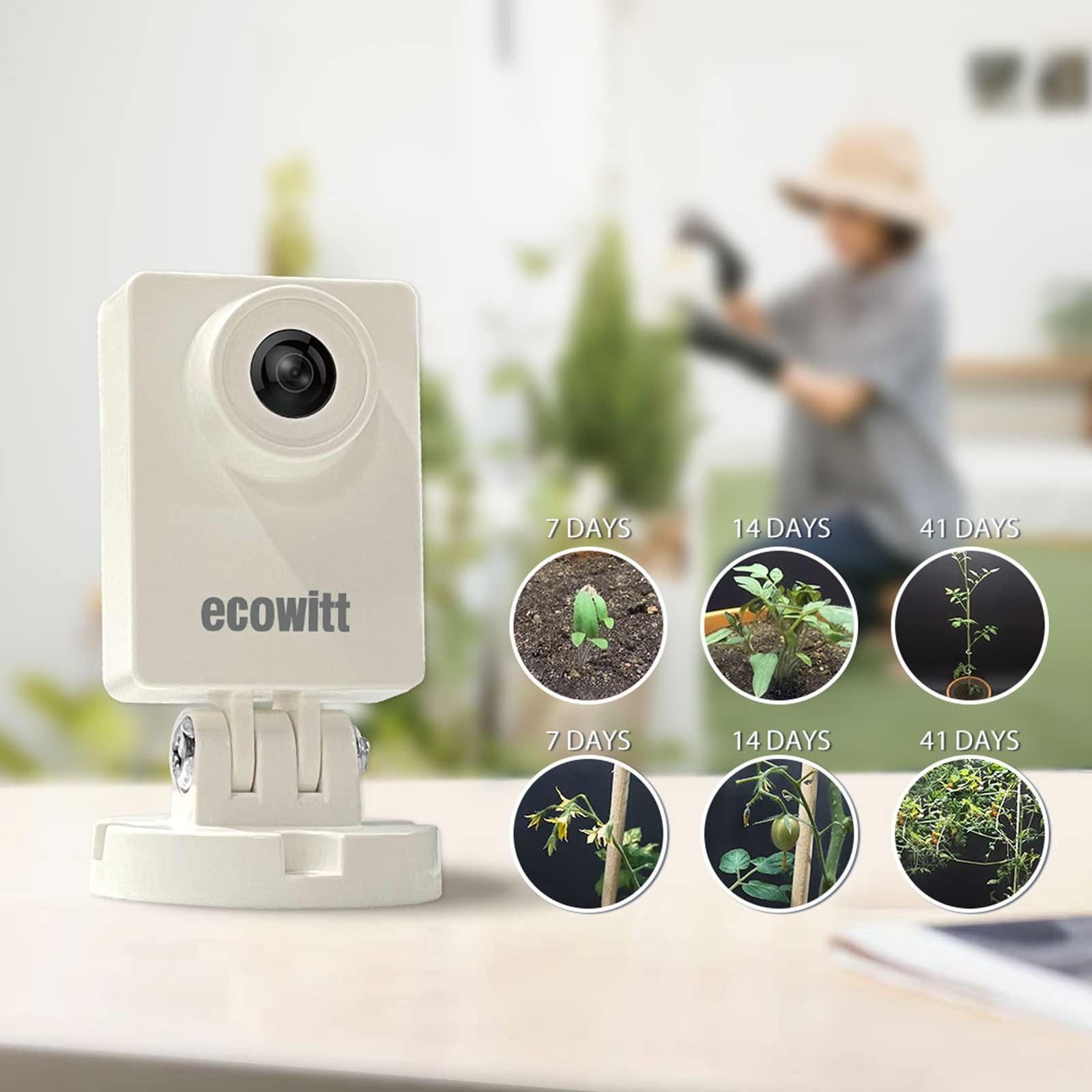 Ecowitt HP10 WittCam Outdoor W - Plant Parent App ulasan dan harga