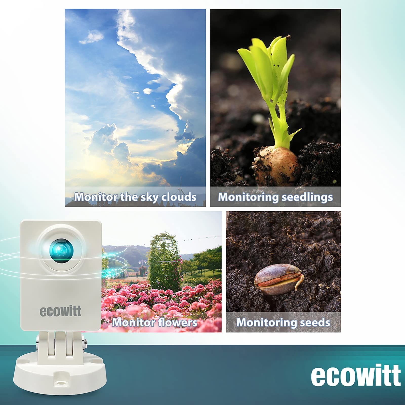 Ecowitt HP10 WittCam Outdoor W - Plant Parent App ulasan dan harga