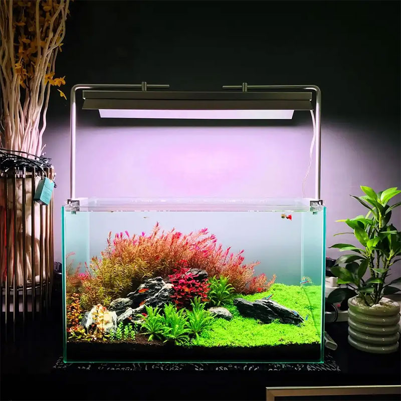 WEEK AQUA L Series, Aquarium L - Plant Parent App ulasan dan harga