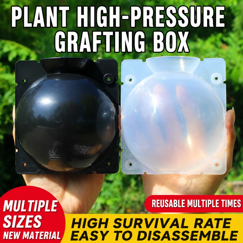 10pcs Plant Propagation Kit: H - Plant Parent Kit ulasan dan harga
